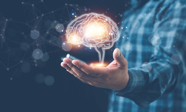 Learning And Memory Effects The Science of Learning: How Memory Works in Education