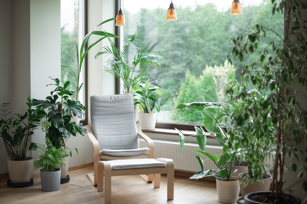 Eco Friendly Apartment Flooring Companies photo